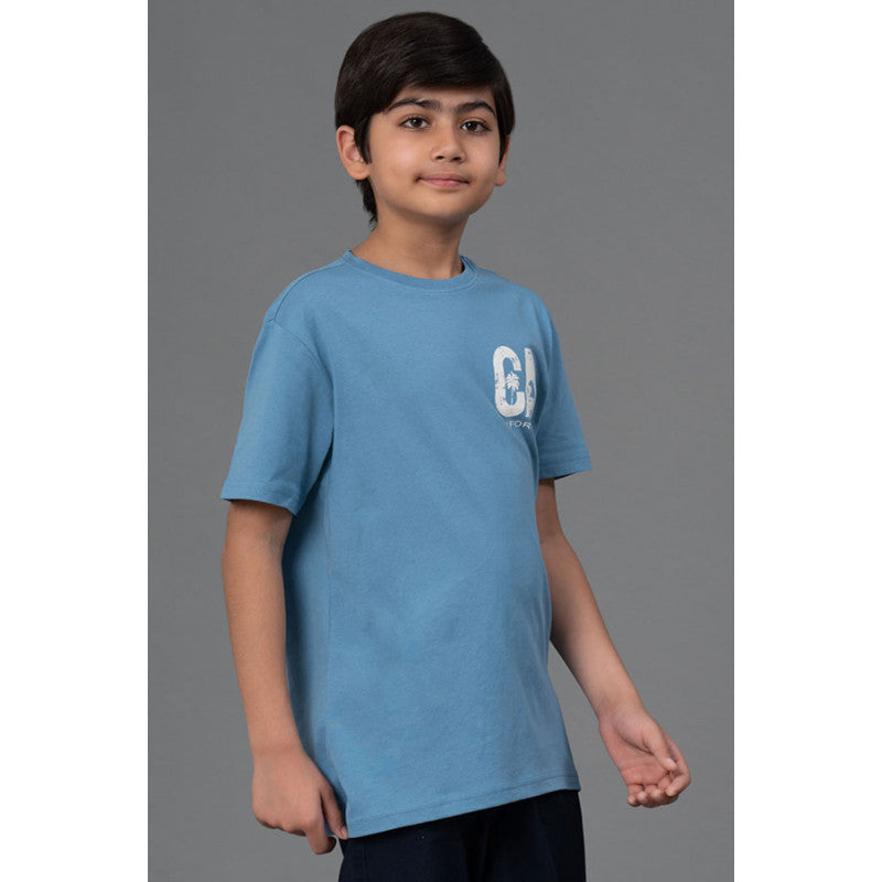 RedTape Unisex Kids T-Shirt- Best in Comfort| Cotton| Steel Blue Colour| Regular look| Round Neck|